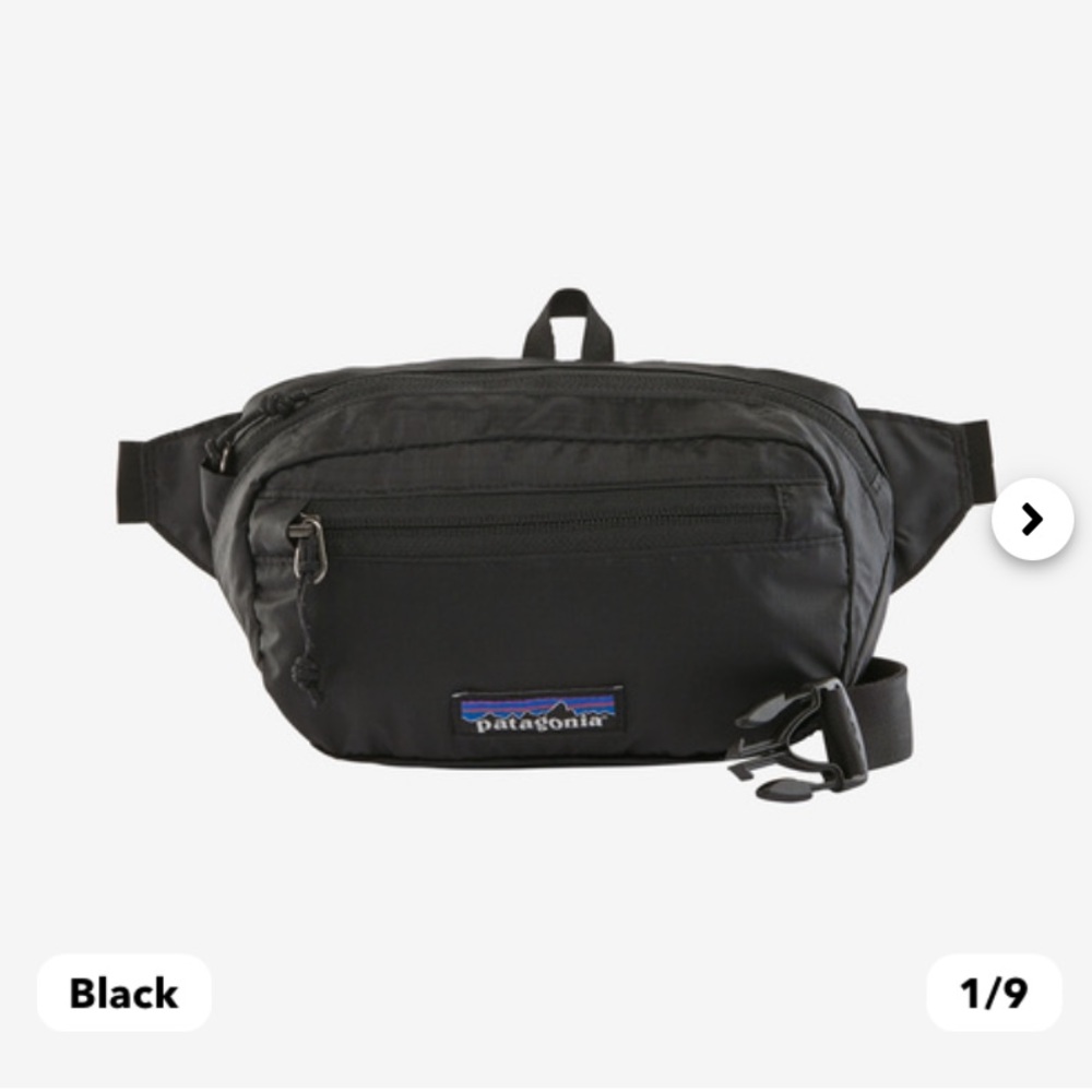 Patagonia Mini Hip Pack Crossbody Bag